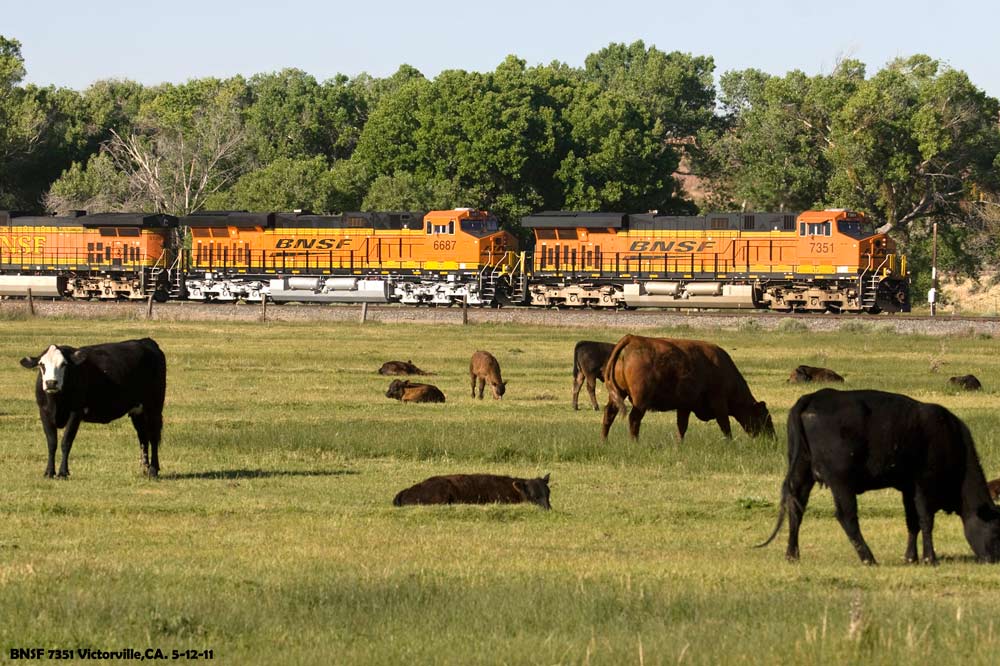 http://www.altamontpress.com/jimspeakerphotos/Jims-Trains-BNSF-7351-Snail-The-Cow-dave_1000px.jpg
