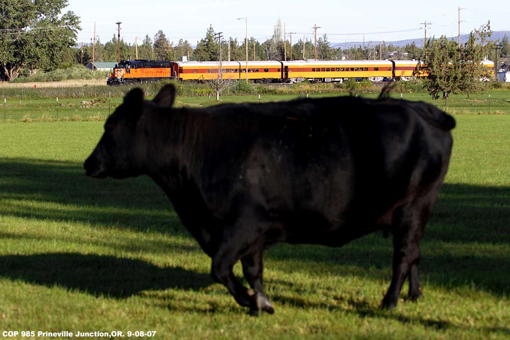 http://www.altamontpress.com/jimspeakerphotos/Jims-Trains-COP-985-The-Big-Cow-Basket-dave_1000px.jpg